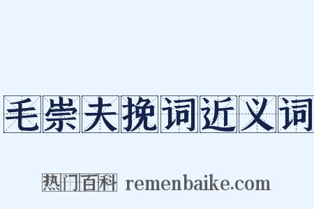 毛崇夫挽词近义词是什么意思的图片